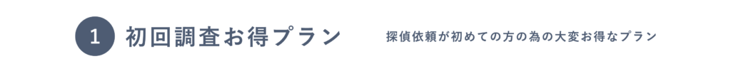 初回調査お得プラン