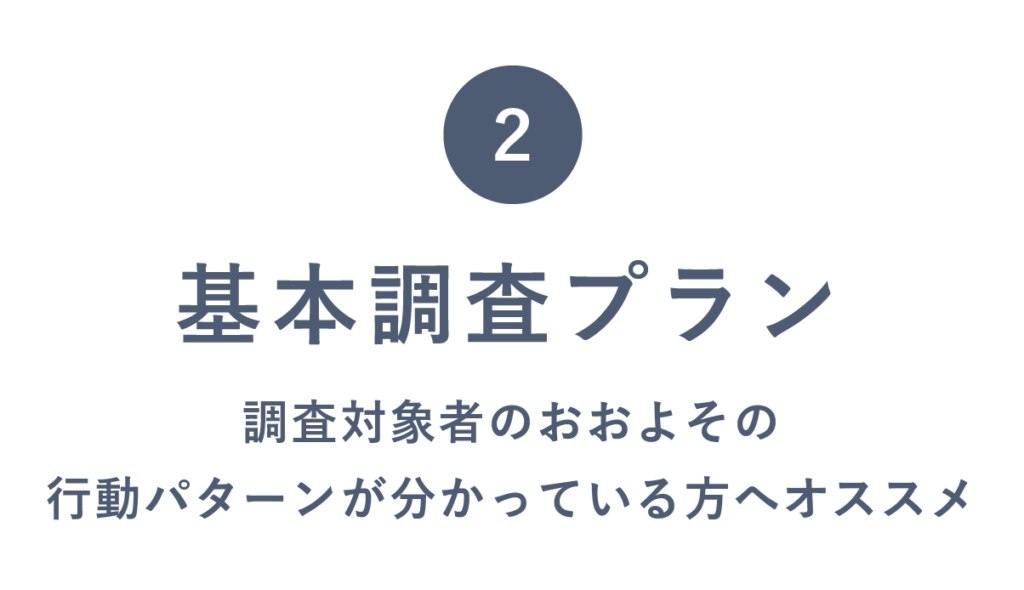 基本調査プラン